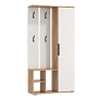 Шкаф комбинированный Кармен-1 New дуб золотой/белый/ДВПО белый